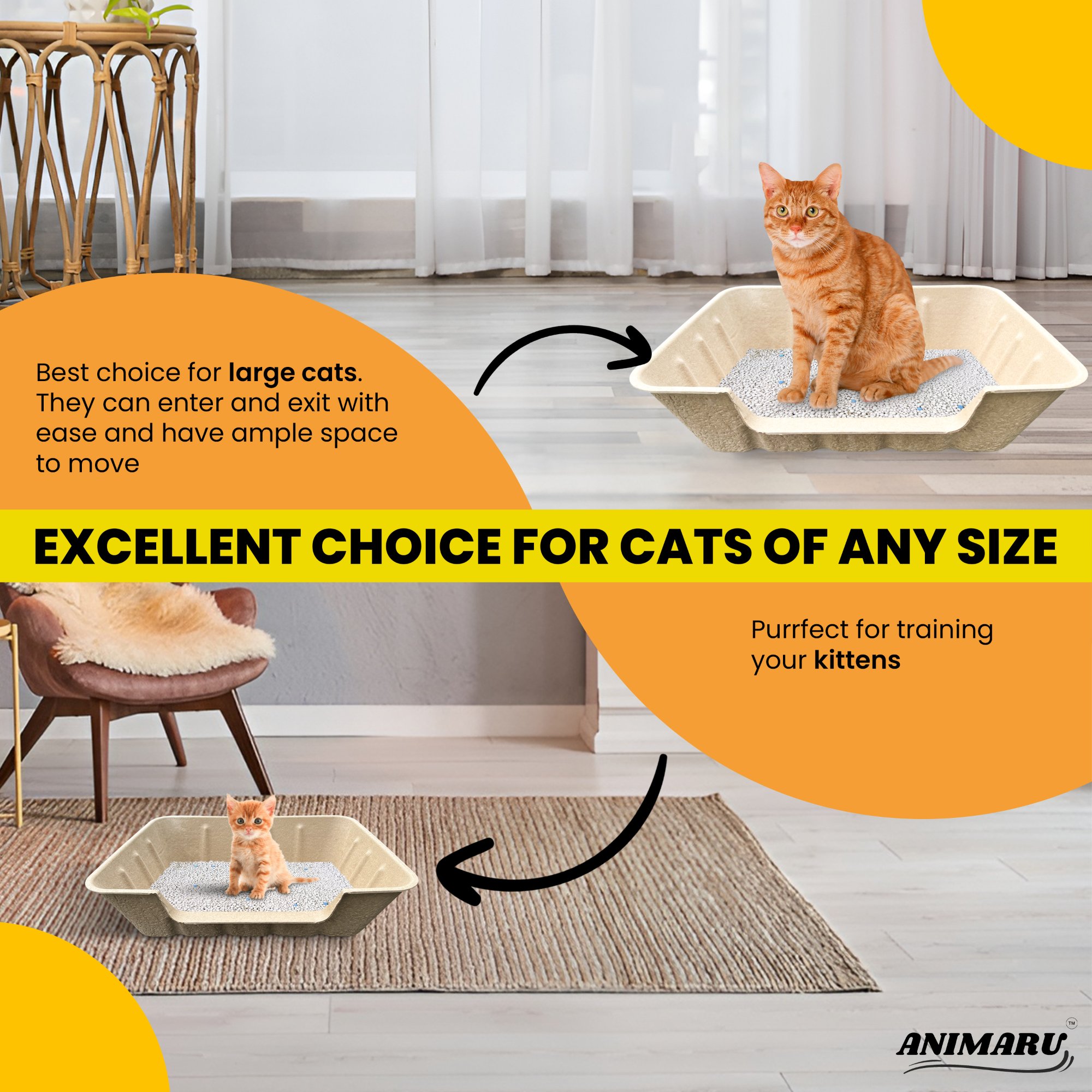 Animaru litter box for senior and kitten cats